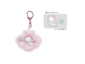 TCPbeB[V[s[ n[LeB }[ChVJVJANL[z_[ sN KT08-04