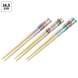 SkaterbXP[^[ |S16D5cmi3Vj@vZX25 ANT2T