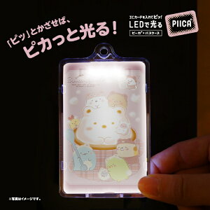 VPC ݂R炵 ł܃JtF1PIICAiNAP[Xtj