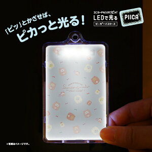 VPC ݂R炵 ł܃JtF2PIICAiNAP[Xtj