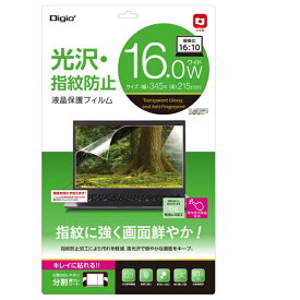 ナカバヤシ｜Nakabayashi PC用液晶保護フィルム 16W（16： 10） 光沢指紋防止