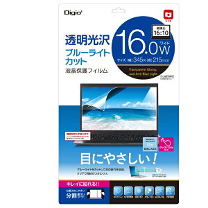 iJoVbNakabayashi 16.0Wi16:10jPCp tیtB u[CgJbg SF-NFLKBC160W2