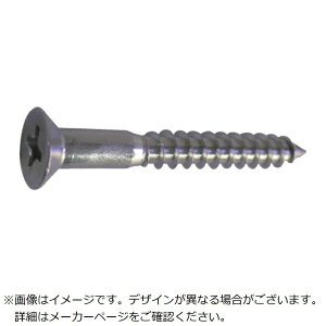 ダイドーハント|daidohant DAIDОHANT HP ステンレス 木ネジ 皿 4.1×45 6本入