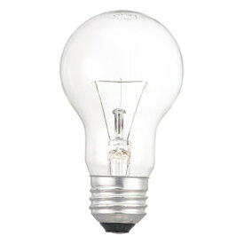 オーム電機｜OHM ELECTRIC 長寿命白熱電球 E26 40W形 クリア 2個セット LB-DL5638C-2PN [E26 /一般電球形 /40W相当 /電球色 /2個]