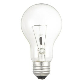 オーム電機｜OHM ELECTRIC 長寿命白熱電球 E26 100W形 クリア 2個セット LB-DL6695C-2PN [E26 /一般電球形 /100W相当 /電球色 /2個]