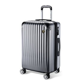 NEWTRIP NT-L0201 Mサイズ グレー