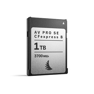 ANGELBIRDbGWFo[h AV PRO SE CFexpress B v4 1 TB AVP1T0CFXBSEMK2 [1TB]