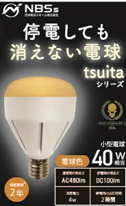 {hЃXL[bNihon Bosai Schemes coconimo tsuita [E17 /ʓd` /dF]