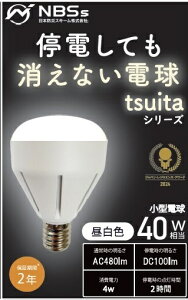 {hЃXL[bNihon Bosai Schemes coconimo tsuita [E17 /ʓd` /F]