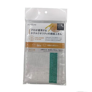 AxC`bABEICHI vpzeNIeB̖Ȗӂ C O[ CC2501*