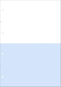 BSLVXebBSL System Research Institute kev^lA4Ft ʒP[4 [A4(2)/500] A4CF2-4