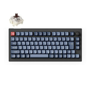 KeychronbL[N L[{[h V1 Max() J[{ubN V1M-D3-JIS [LECX /BluetoothEUSB-A{USB-C]