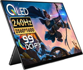 EHOMEWEI｜イーホームウェイ USB-C接続 モバイルモニター Rシリーズ [18型] RQHG-180NW [WQXGA(2560×1600） /ワイド /240Hz]
