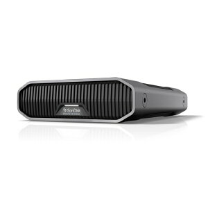 SanDisk ProfessionalbTfBXNvtFbVi SDPHF1A-026T-SBAAD OtHDD USB-Cڑ G-DRIVE 2022(MacΉ) [26TB /u^]