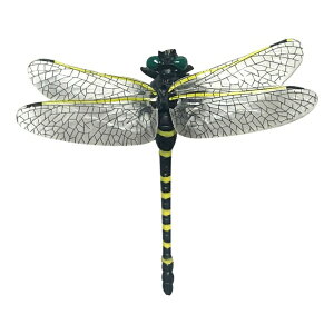 ~j} 90087 ubNg[hbTRADE ONE