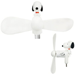 O}fB[Ybgourmandise RlN^t~jN[t@iUSB Type-Cjs[ibc Xk[s[ SNGG-146A