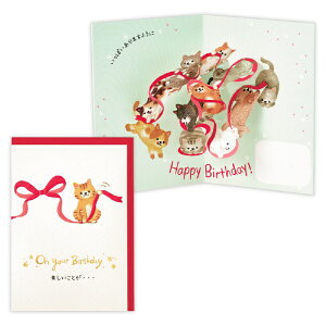 jzz[}[NbHallmark aJ[h  {V EAR-844-202