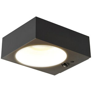 ^JV[bTakasho ^JV[ K[fCg ExLights \[[EH[Cg BLOCK y[J[EsEԎwEԕisz