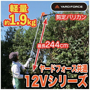 [htH[XbYARDFORCE [htH[X wbWg} R[hX2WAYoJ3 y[J[EsEԎwEԕisz