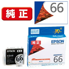 EPSON｜エプソン ICGL66 純正プリンターインク Proselection（プロセレクション） グロスオプティマイザ[ICGL66]