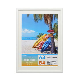 ケンコー・トキナー｜KenkoTokina パラディII A3・B4兼用 ホワイト MPR-A3-WH