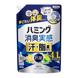 花王｜Kao ハミング消臭実感　汗・脂臭タイプ　シトラス　1．47L ハミング