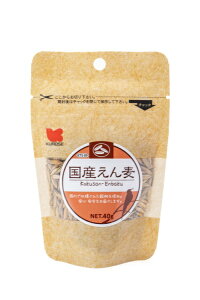 ybgt[hbKurose Pet Food Y񔞁@40g