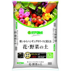 nC|lbNXbHYPONeX ԁE؂̓y 12L