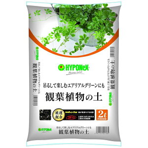 nC|lbNXbHYPONeX ϗtA̓y 2L