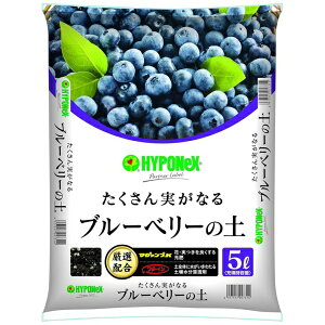 nC|lbNXbHYPONeX u[x[̓y 5L