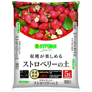 nC|lbNXbHYPONeX Xgx[̓y 5L