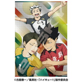 エンスカイ｜ensky ジグソーパズル ハイキュー！！ 1000T-536　蛇vs猫＋梟