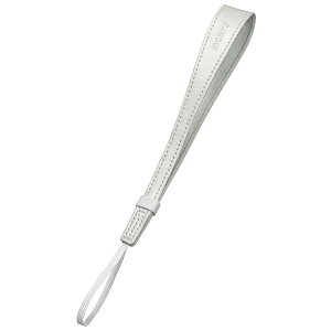 SONY�b�\�j�[ ���X�g�X�g���b�v�i�z���C�g�j STP-WS2[STPWS2]