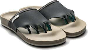 AJCVbAKAISHI jp T_ 610 5{wGNT[T_ (MTCY) O[ AF610016