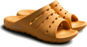 AJCVbAKAISHI jp T_ A[`tBb^[156tbg[X (MTCY) IW AF156019