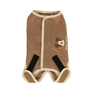 SkaterbXP[^[ p㕞 j̎qp3@~bL[}EX