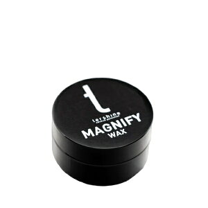 tershineb^[VC MAGNIFY WAX }Ojt@CbNX 100ml tershine 16047