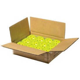 フランクリン｜Franklin X-40 ピックルボール 12 PACK BOX イエロー 52828X