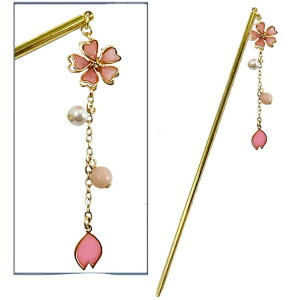 ANZ\[ 񂴂 GD KN53-GD