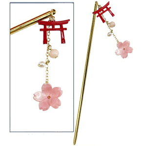 ANZ\[ 񂴂 GD KN55-GD