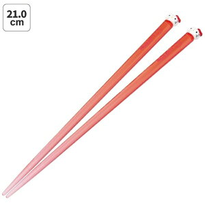 SkaterbXP[^[ }XRbgtAN 21cm n[LeB AAD45