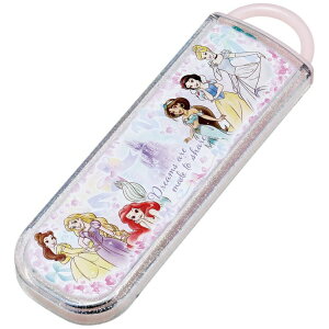 SkaterbXP[^[ R۔Xv[RrZbg@vZX25