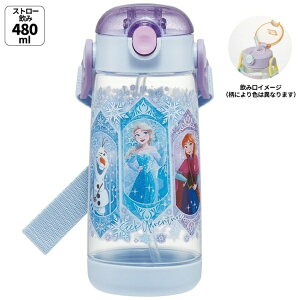 SkaterbXP[^[ vbVXg[{g480ml@AiƐ̏25