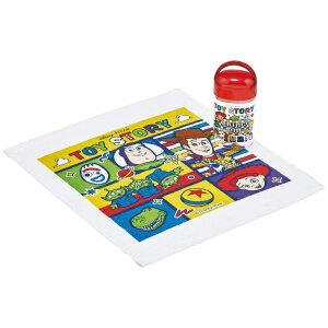 SkaterbXP[^[ RۃP[Xtڂ^I@gCEXg[[25