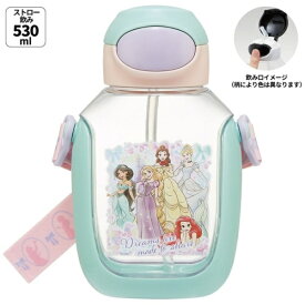 Skater｜スケーター ワンプッシュストローボトル530ml　プリンセス25