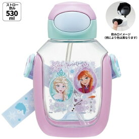 Skater｜スケーター ワンプッシュストローボトル530ml　アナ雪25