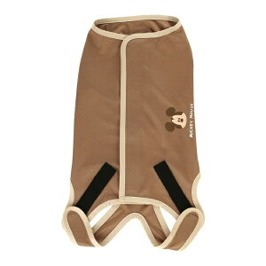 SkaterbXP[^[ p㕞 j̎qp5@~bL[}EX