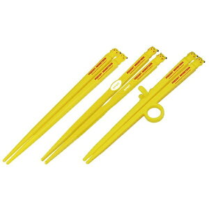 SkaterbXP[^[ g[jOZbg@sJ`E21