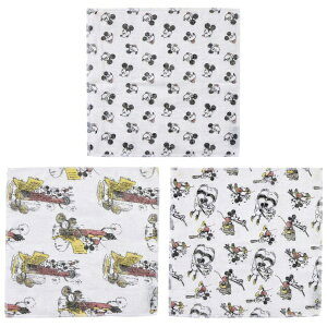 SkaterbXP[^[ ␶nӂ3@~bL[}EX