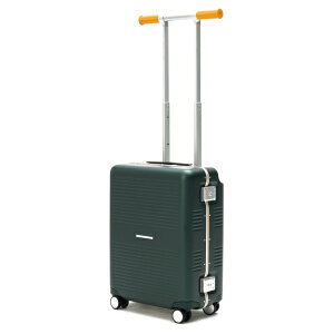 RAWROWbE[ X[cP[X R TRUNK FRAME t[^Cv sڈF3`4 37L TSAbN @݃TCY aꖳ fB[vO[ R-TRUNK-FRAME-37L-DGR [TSAbN]